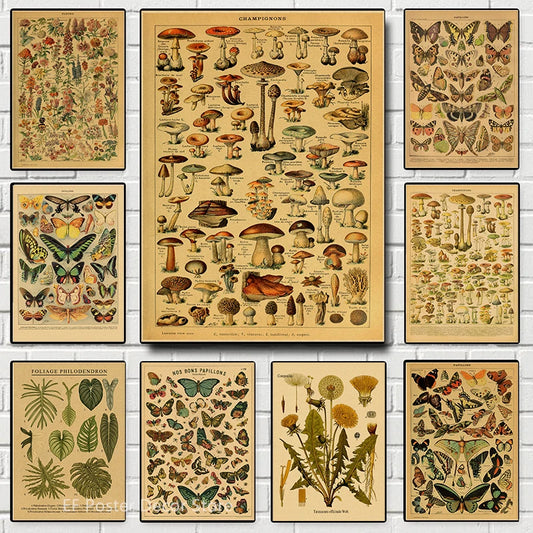 Botanical & Natural History Art Prints