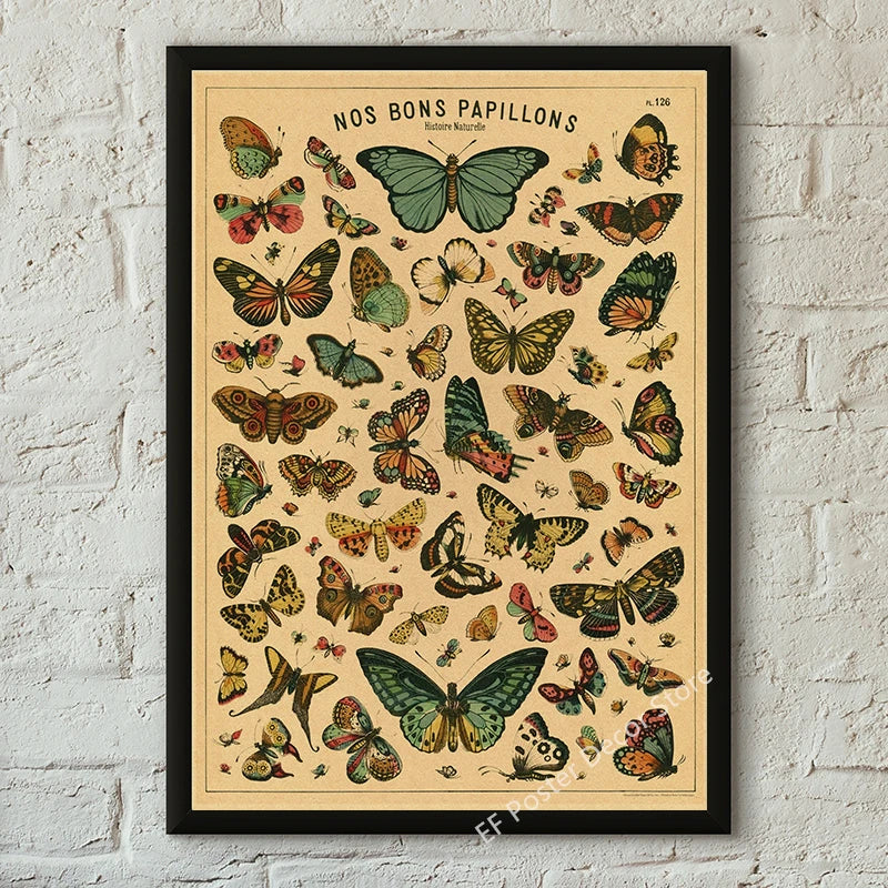 Botanical & Natural History Art Prints