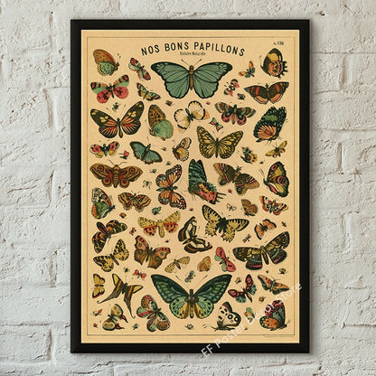Botanical & Natural History Art Prints