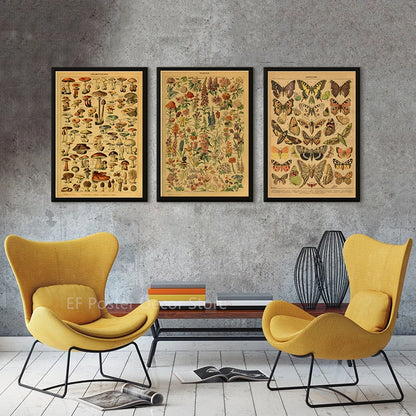 Botanical & Natural History Art Prints