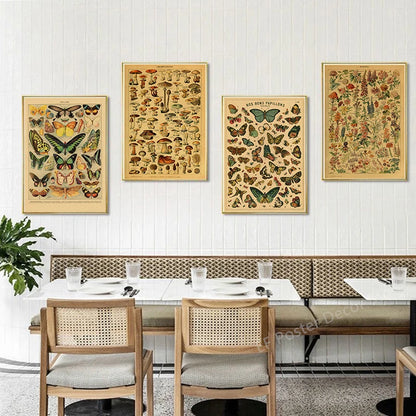 Botanical & Natural History Art Prints