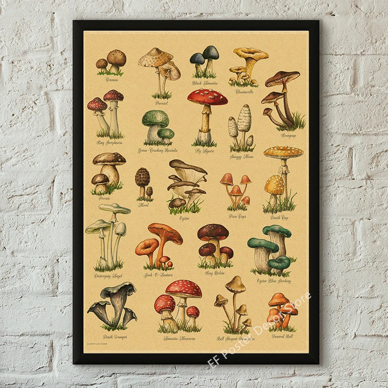 Botanical & Natural History Art Prints