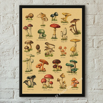 Botanical & Natural History Art Prints