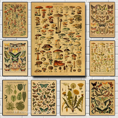 Botanical & Natural History Art Prints