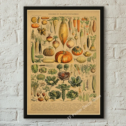 Botanical & Natural History Art Prints