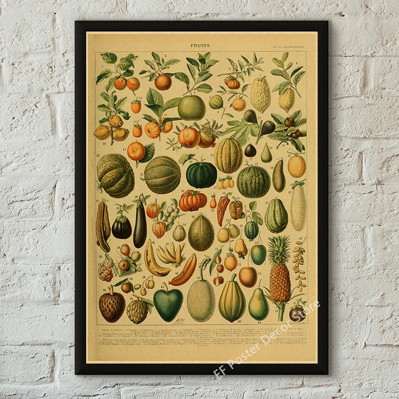 Botanical & Natural History Art Prints