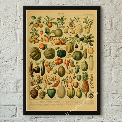 Botanical & Natural History Art Prints