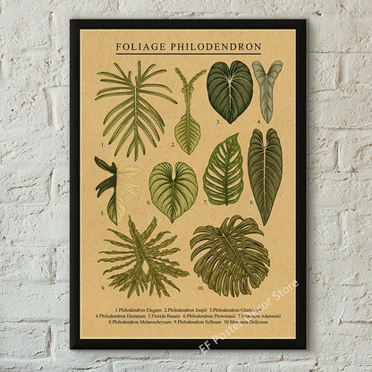 Botanical & Natural History Art Prints