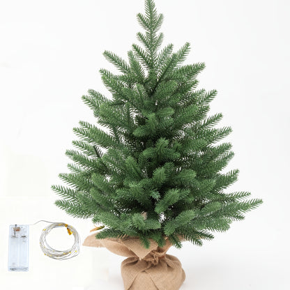 The PLB Nordic Mini Pine